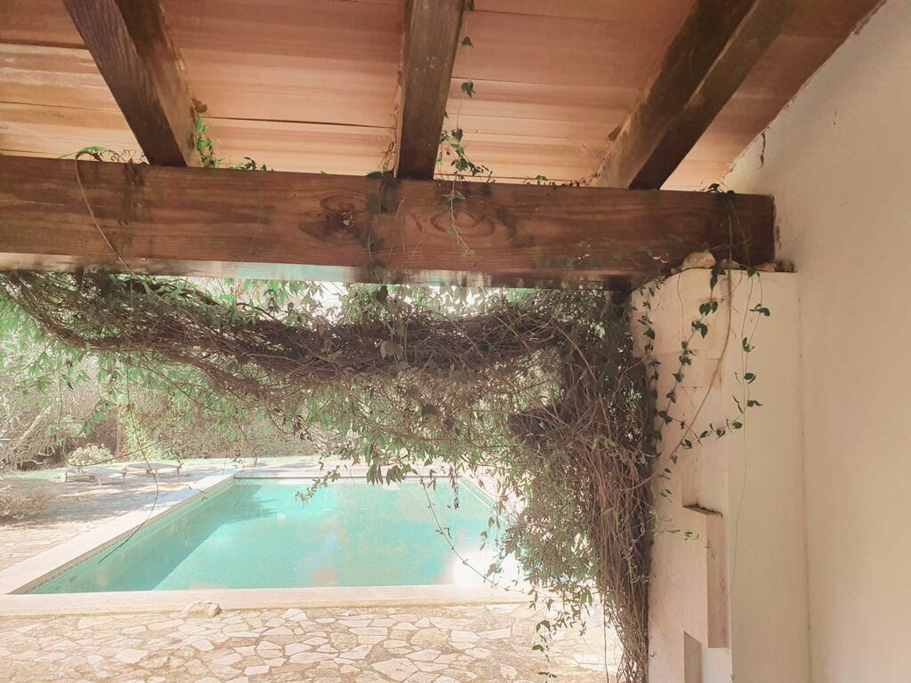 DRS, S'aranjassa, Mallorca, 2023