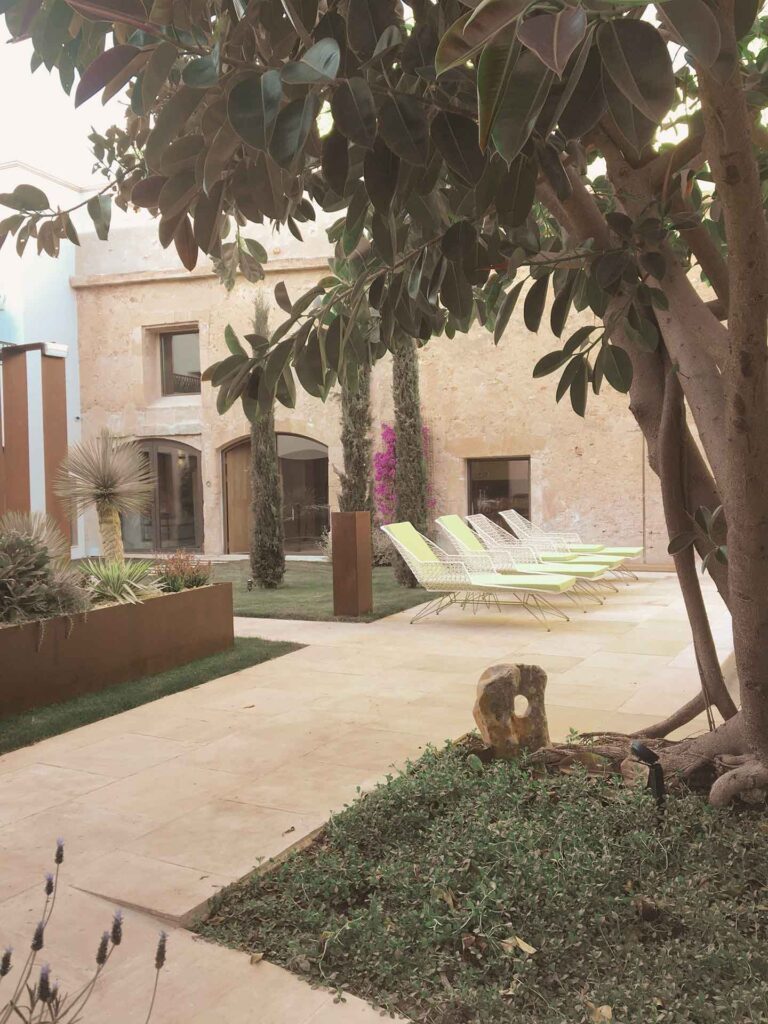 SCN, Campos, Mallorca, 2016 -2023 -2025